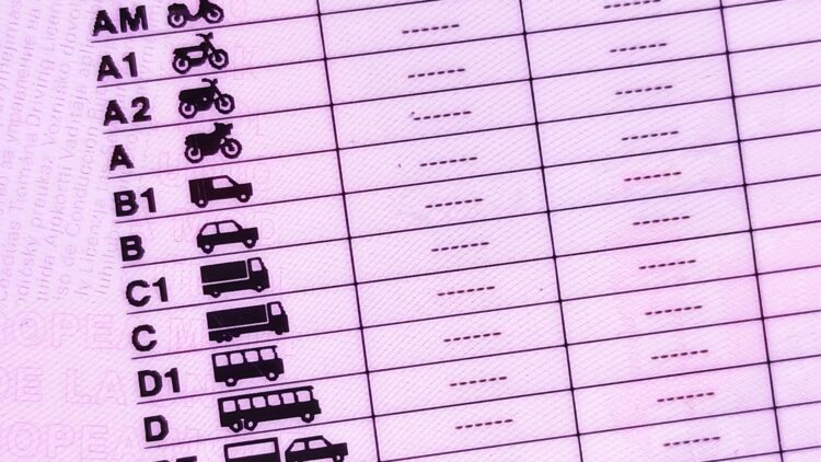 Conseguir el carnet de conducir gratis es posible. Solo tendrás que cumplir estos requisitos 1 Carnet de conducir gratis