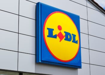 lidl-solucion-mosquitos