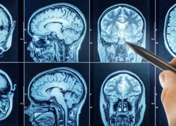 Neurocientifico nos devela como funciona nuestro cerebro