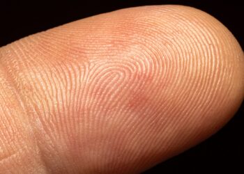 Tener las mismas huellas dactilares es posible