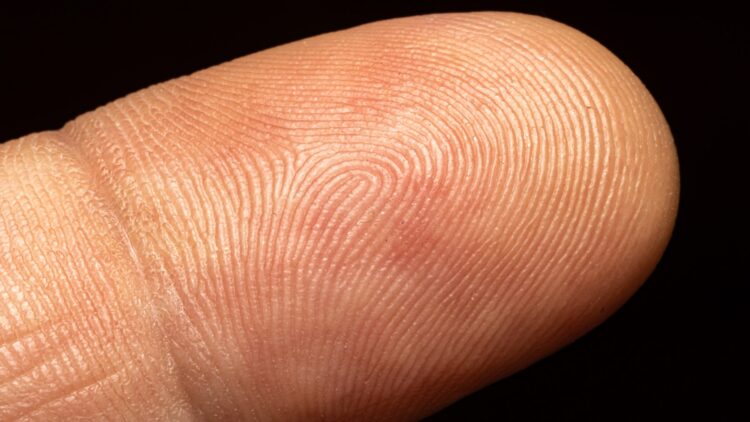 Tener las mismas huellas dactilares es posible