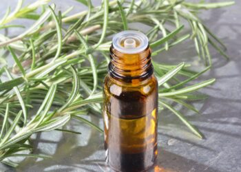 esta planta ayuda a la concentracion