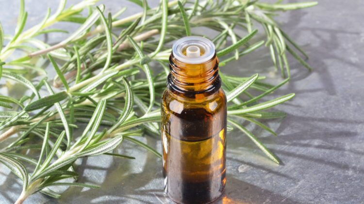 esta planta ayuda a la concentracion