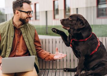 Buenas noticias para los que tienen mascotas