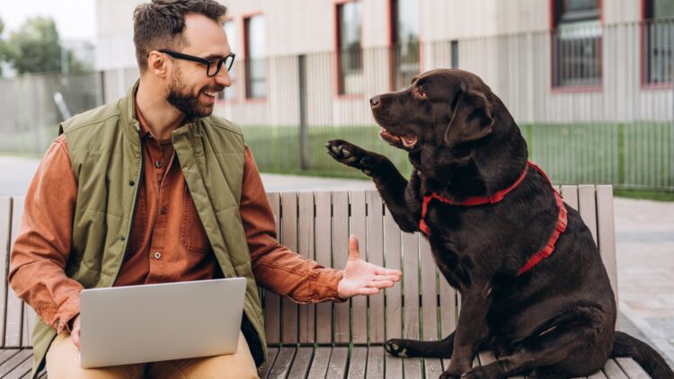 Buenas noticias para los que tienen mascotas: ya podrás deducirte estos gastos en la declaración de la Renta de 2025 1 Buenas noticias para los que tienen mascotas