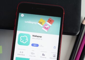 La Guardia Civil alerta de nuevo sobre Vinted y Wallapop