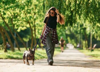 Ten mucho cuidado si paseas a tu perro y ves esto