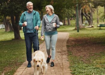 los modelos de jubilacion cambian