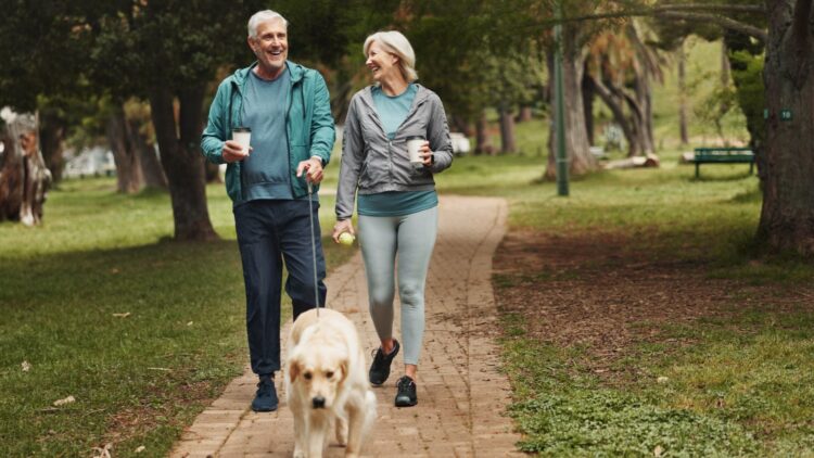 Tu jubilación va a cambiar a partir de abril: la Seguridad Social ya lo ha avisado 1 los modelos de jubilacion cambian