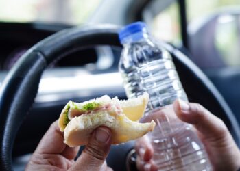 Lo ultimo de la DGT: las multas por llevar alimentos en el coche