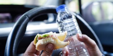 Lo ultimo de la DGT: las multas por llevar alimentos en el coche