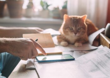 ¿Me puedo deducir los gastos de mis mascotas en la Renta?