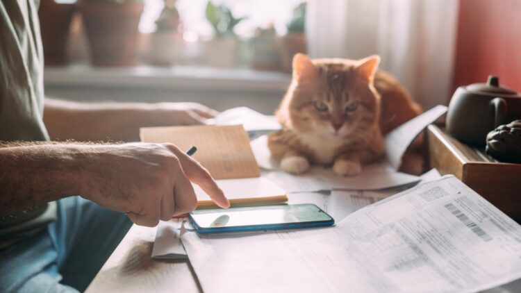 ¿Me puedo deducir los gastos de mis mascotas en la Renta?