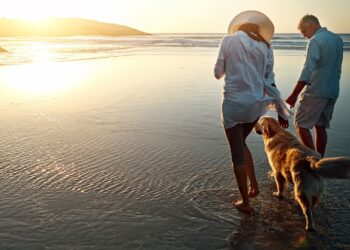 Última hora del Imserso: nuevos descuentos, tarifa plana de 50 euros y viajar con tus animales de compañía