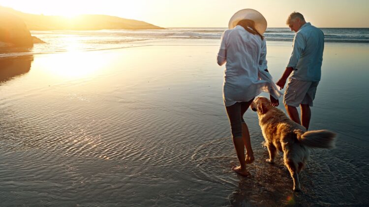 Última hora del Imserso: nuevos descuentos, tarifa plana de 50 euros y viajar con tus animales de compañía 1 Última hora del Imserso: nuevos descuentos, tarifa plana de 50 euros y viajar con tus animales de compañía