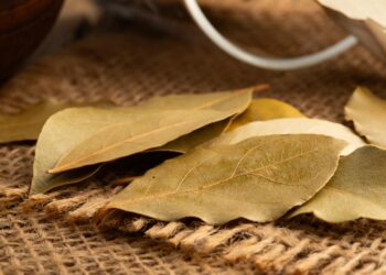 Los desconocidos motivos por los que debes poner una hoja de laurel debajo de la cama