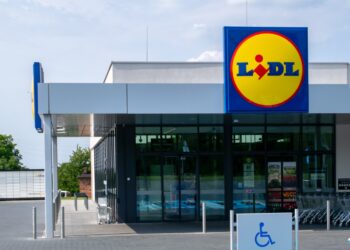 Lidl acaba con los mosquitos: esta es la solución sin químicos
