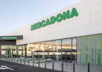 Mercadona lo vuelve a hacer: este kit es perfecto para los carnívoros