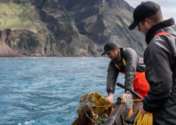Este manjar español se ha convertido en una plaga en el Reino Unido