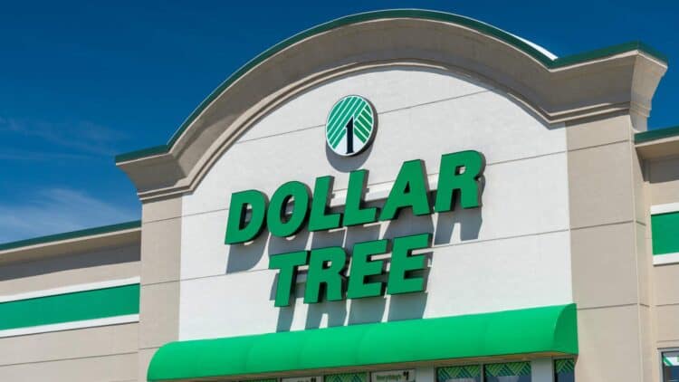 Get rich thanks to these Dollar Tree products - They are very valuable ...
