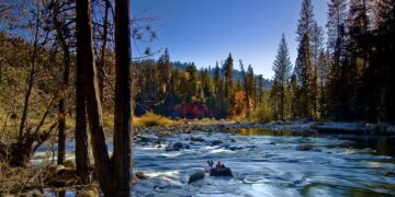 No GPS, no reception - a mother and her son get lost in a California forest and their story of survival thrills everyone