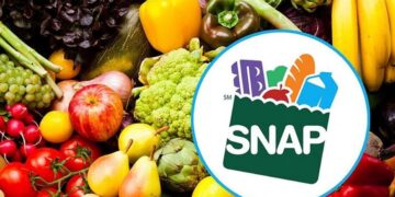 It's official - more than 28 U.S. states will deliver SNAP benefits this week and you can check if your family is on the list of beneficiaries here