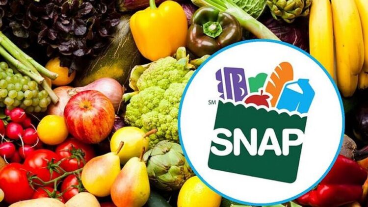 It's official - more than 28 U.S. states will deliver SNAP benefits this week and you can check if your family is on the list of beneficiaries here