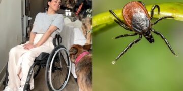Confirmed - a simple tick bite left a fitness influencer paralyzed and her story has shocked the entire US