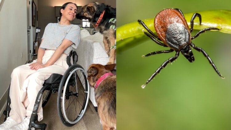 Confirmed - a simple tick bite left a fitness influencer paralyzed and her story has shocked the entire US
