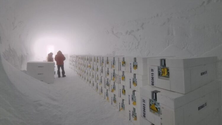 The oldest ice ever recovered in history travels from Antarctica to the UK to reveal what the Earth's atmosphere was like over a million years ago 1 The oldest ice ever recovered in history travels from Antarctica to the UK to reveal what the Earth's atmosphere was like over a million years ago