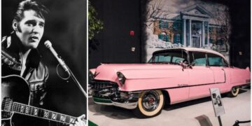 What does that have to do with pink cars? A lot. With this new association that pink was for women, the automotive industry researched color trends, and it turned out that pink wasn't very popular. In the past, cars were produced as appeals for young female drivers, but it was considered that basing production on such a small market niche was not profitable. Pink cars of the past Although we no longer have the option to choose if we want our car to be pink, we can still remember iconic models that are part of our history, such as Elvis Presley's Pink Cadillac, Barbie's famous car, or the world-renowned Porsche Pink Pig, which competed in the 24 Hours of Le Mans.