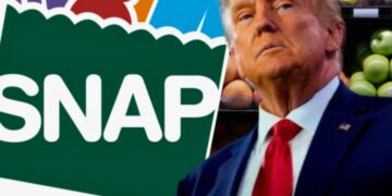 It's official—Donald Trump's new law drastically cuts food stamps and changes SNAP rules nationwide