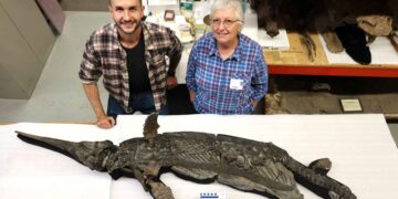 Confirmed—Xiphodracon goldencapensis, the “sword dragon,” is a new species that changes what we knew about the Jurassic period