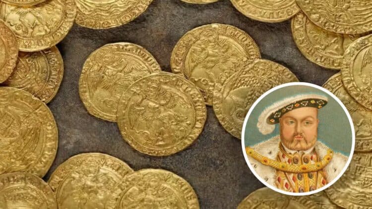 The discovery no one expected—a British family uncovers a Tudor treasure buried in their garden since the time of Henry VIII