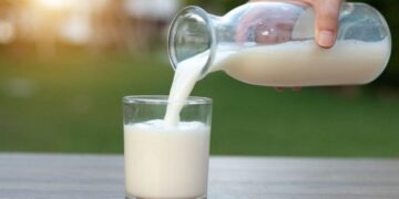 Goodbye to the milk myth—discover the vegetables, legumes, and fruits that exceed its calcium content