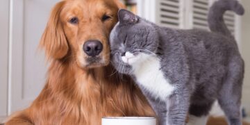 Sam's Club and Member's Mark involved in a multi-million dollar settlement for pet food contaminated with salmonella—check if you are on the list and how much you can claim