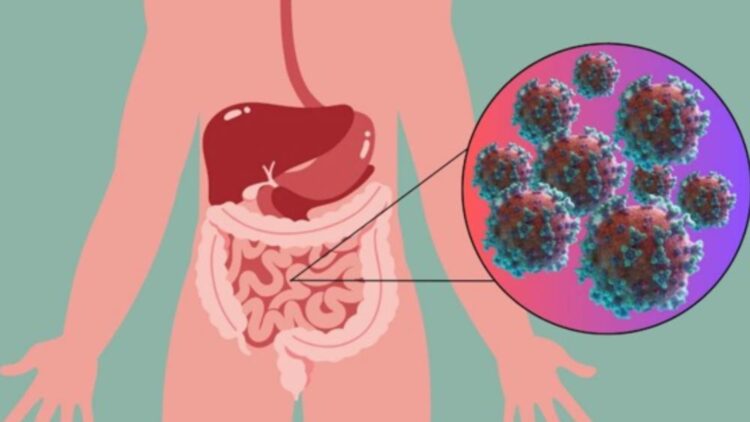 Neither a mild cold nor the common flu—norovirus is back with a vengeance, triggering outbreaks across the country 1 Neither a mild cold nor the common flu—norovirus is back with a vengeance, triggering outbreaks across the country