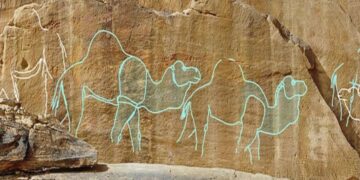 Confirmed by scientists—the first desert artists left camel carvings 12,000 years ago on the cliffs of the Nefud Desert