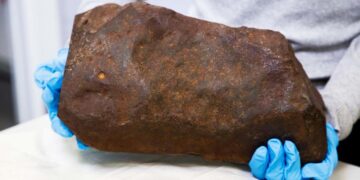 Meteorite at home—a man keeps a rock for years thinking it is gold and ends up holding a unique space relic