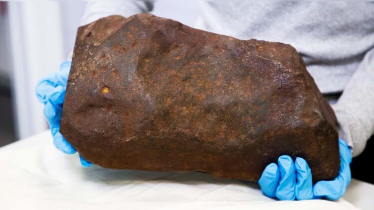 Meteorite at home—a man keeps a rock for years thinking it is gold and ends up holding a unique space relic