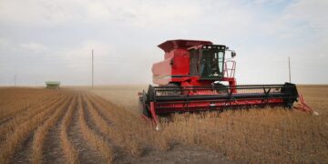 The U.S. announces a $12 billion farm assistance package — how the new aid could affect food prices and rural families