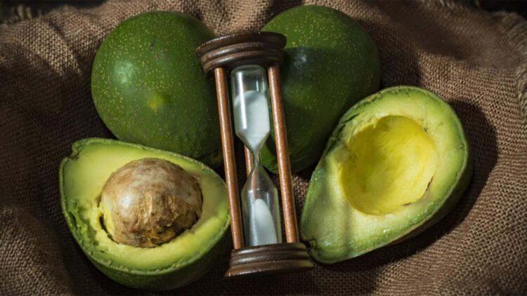 Neither lemon nor plastic—the real technique to prevent avocados from browning, according to US food experts