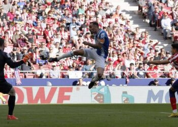 sergi darder la grada