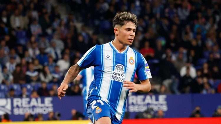 nico melamed representantes